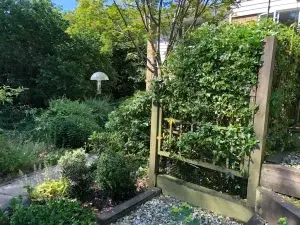Garden Plants