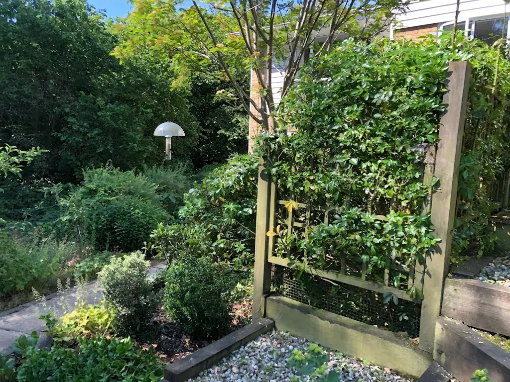 The Best Garden Inspiration Tips