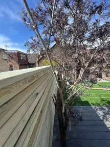 Garden Landscaping in Redhill