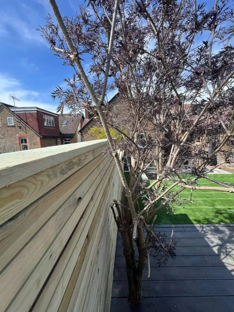 Garden Landscaping in Redhill