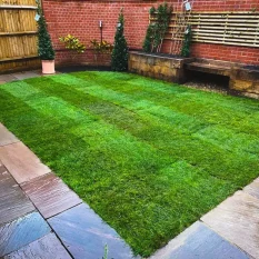 Turf Installation in Surrey